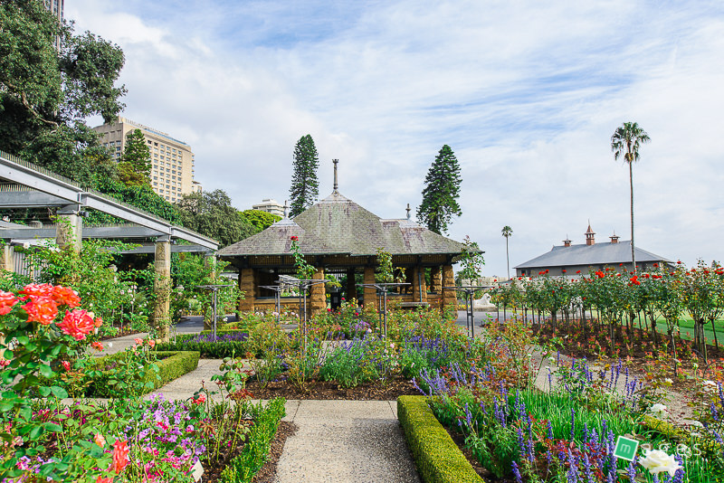Royal Botanical Garden