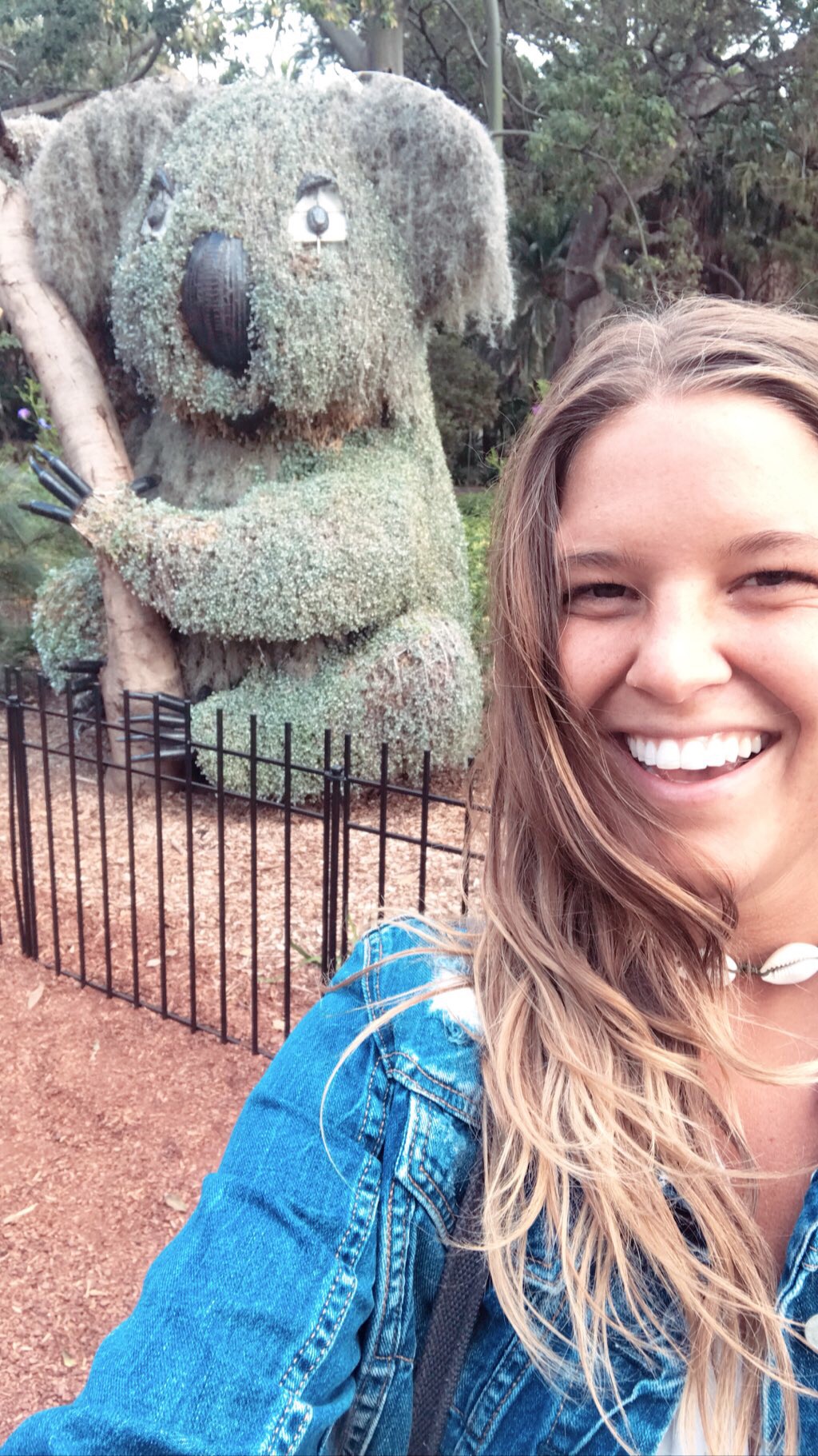 Koala Topiary, Botanical Garden