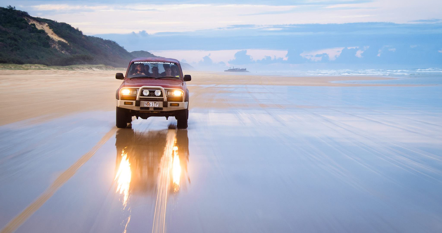 Drop Bear 4x4