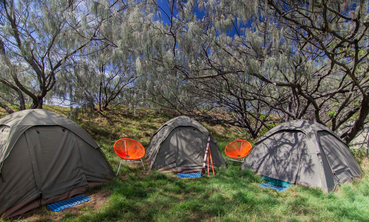 Campsite