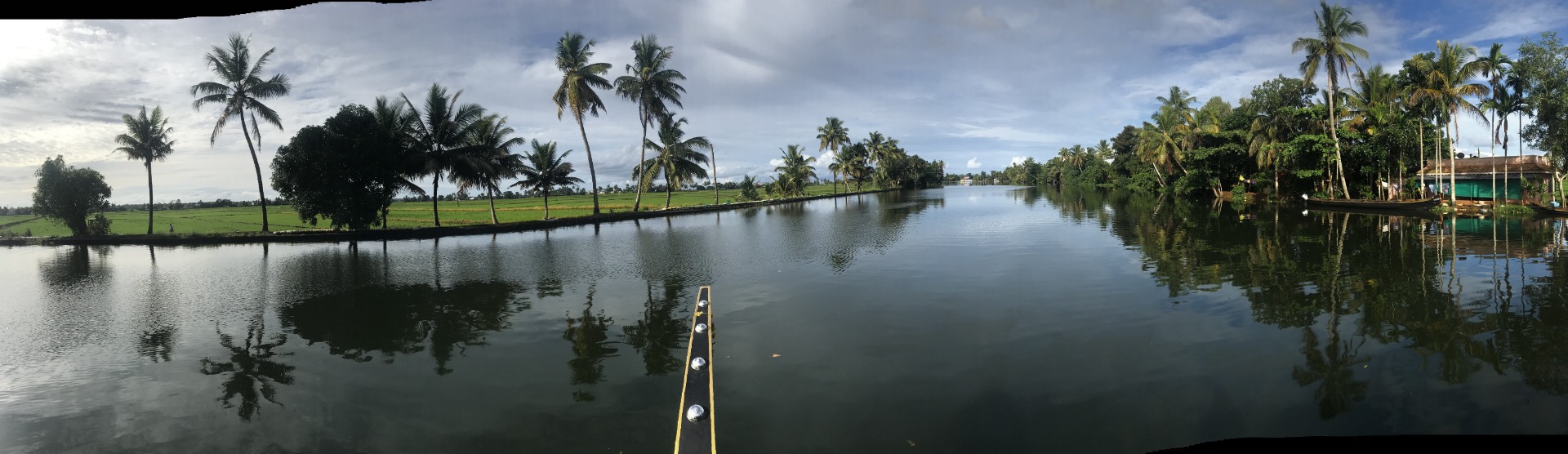 Backwaters + Rice Fields